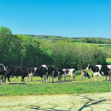 « Le Vieux Hangar » Gite A La Ferme Truffe エクステリア 写真