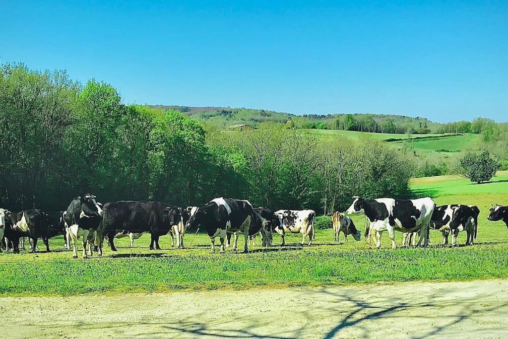 « Le Vieux Hangar » Gite A La Ferme Truffe エクステリア 写真